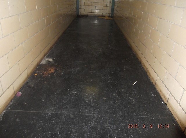 The Drug Gangs Swills Up The Hallways!!