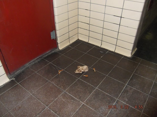 The Nasty Slimeballs Have Been Here!! 