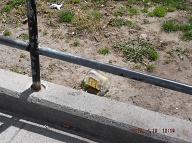 This Is The NYCHA Get High Spot Where NYPD Arrests Hardly Ever  Occur!!