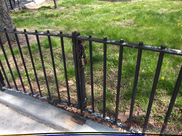 This N.Y.C.H.A. Gate Is Still Unlocked!!