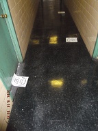The NYPD And The NYCHA Just Ignore Everything That Goes On Here At Their Vile Parasite Plantation!!