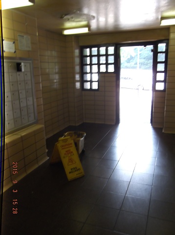Aha, The NYCHA Brings Out The Bucket!!