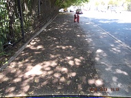 Mayor De Blasio Has Done Something Here That Has Not Been Done For The Fifteen Years That I Have Lived In New Brighton!!