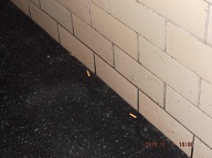 The 2 C Youth Gang Sells And Consumes Their Drugs Up Against The Hallway Wall Of My Apartment Hoping To Someday Make Me Come Into The Hallway To Fight Them!!