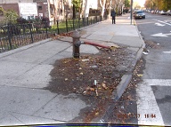 The Richmond Terrace Houses Of The New York City Housing Authority Nowadays Gets Its Water 24/7 From This Hydrant!! Winter Is Almost Here; But The NYCHA Does Not Care!!