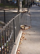 The Hose To The Hydrant Is Covered By These Wooden Planks All The Way Up To The NYCHA Building At 61 Jersey Street!!