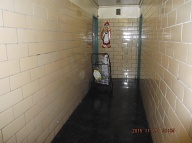 The NYCHA 2C Drug Dealers Have Special Privileges That Go Along With Their Immunity From All Law Enforcement Statues!! This Is Their Turf!!