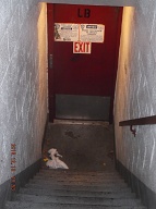 I Walked Down These Steps At 10:00AM!! Our Lazy Caretaker Did Not Clean Them All Day Long; And They Are Still Dirty After 6:00PM!!
