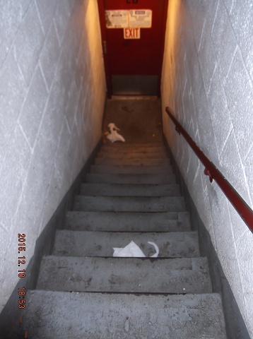 Stairwell B Is Always Dirty Here Now!!