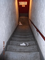 I Walked Down These Steps At 10:00AM!! Our Lazy Caretaker Did Not Clean Them All Day Long; And They Are Still Dirty After 6:00PM!!