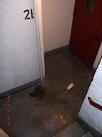 I Wonder Just How Many Days Are Going To Go By Before This Mess Is Finally Cleaned Up!!