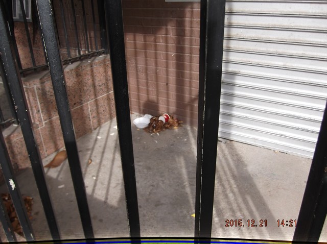More Filth Left Uncleaned By Our Lazy Caretaker!!