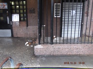 The Manager And Our New Caretaker Are Being Paid By New York But They Are Not Even Doing Even Half Of What They Are Supposed To Be Doing!!
