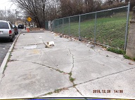 Drugs And Food Are Consumed In Parked Vehicles Here Where The Police Never See Or Do Anything About Anything!!