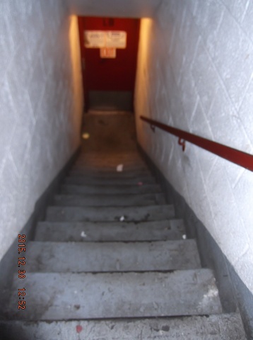Our No Show Caretaker Has Still Not Cleaned This Stairwell!!