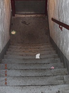 Day After Day The Trash, Ashes, And Stinking Urine Pile Up Here As It Is Against Our Caretakers Religion To Perform Her Job And Clean It Up!!