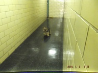 The 2C Drug Dealers Get To Do Anything They Want To To Decent People Here!! The 2C Drug Dealers Left Their Loudly Barking Dog Unleashed And Alone Outside Of My Apartment Door Waking Me Up Again!!