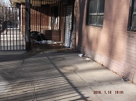 It Is Against Her Religion For Our Lazy Caretaker To Ever Clean The Front Of This Notorious New York City Housing Authority Apartment Building!!