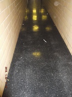 Our Hallway, Our Stairwells, And Our Building Are Violent Gang Turf And Organized Crime Keeps It That Way To Sell Their Illegal Drugs!!