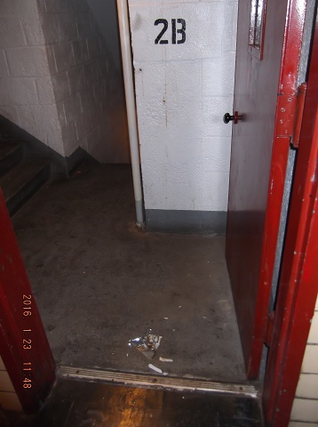 And Yet Another Day Of NYCHA Filth, Neglect, And Contempt!!