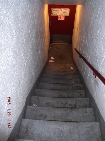And Yet Another Day Of NYCHA Filth, Neglect, And Contempt!!