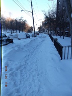 The Continuous Disdain And Contempt We Receive From The New York City Housing Authority Is Shown Here Where The Employees Only Shoveled The Sidewalk In Front Of The Office!!