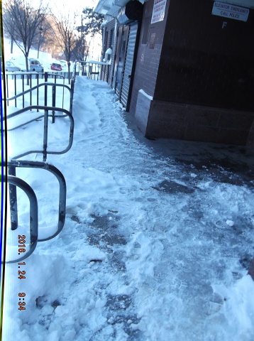 This Is Our Landlord's NYCHA Gross Contempt!! 