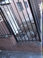This Disgraceful Mess Has Been Left Here For Many Months By Our New Very Lazy NYCHA Caretaker!! An H.P.D. Inspector Was Here Today To Look At This Filth!!