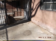 Today February 2, 2016 At Staten Island Housing Court I Pleaded With Judge Mundy About The Ongoing And Illegal Contempt Shown By The New York City Housing Authority Towards The Decent Tenants Of These Richmond Terrace Houses!!  I Do Not Even Remember How Many Months It Finally Took!!
