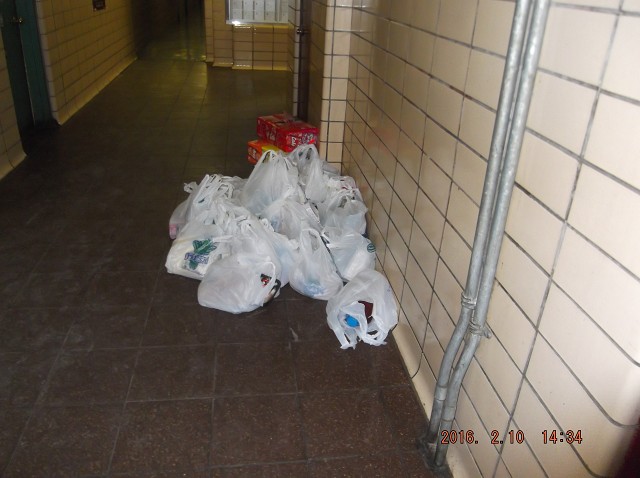 These Groceries Await A Working Elevator!!