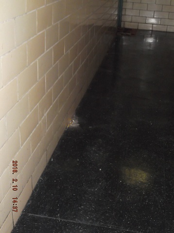 The Filth Is Always Present On The Second Floor!!