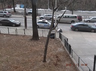 New York City Assigns Us Completely Incompetent And Corrupt Managers As Well As Incompetent And Corrupt Police Officers!!