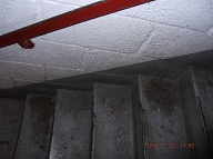 Drugs Are Bought Here Within Apartments 2C And 2F And The Addicts Urinate In This Stairwell Before Going Out The Door To The Outside!!