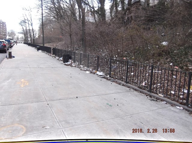 The NYCHA And Organized Crime Want This Development Kept Filthy!!