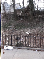 Once Again I Will Have To Go Into Staten Island Housing Court To Get The New York City Housing Authority To Finally Clean Up This Massive Filth!! Your Service Request Number is:C1-1-1217481611 Status The Department of Sanitation investigated this complaint and found no violation at the location. This Rat Farm Number One!!