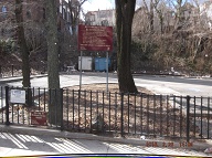 Once Again I Will Have To Go Into Staten Island Housing Court To Get The New York City Housing Authority To Finally Clean Up This Massive Filth!! Your Service Request Number is:C1-1-1217481611 Status The Department of Sanitation investigated this complaint and found no violation at the location. This Rat Farm Number One!!