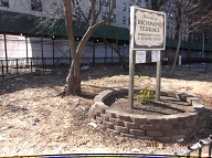 Once Again I Will Have To Go Into Staten Island Housing Court To Get The New York City Housing Authority To Finally Clean Up This Massive Filth!! This Rat Farm Number Two!!