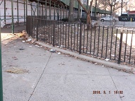 Once Again I Will Have To Go Into Staten Island Housing Court To Get The New York City Housing Authority To Finally Clean Up This Massive Filth!! Rat Farm Number Two!!