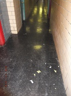 I Wonder Just How Many Days This Filth Will Stay Here This Time??