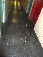 I Wonder Just How Many Days This Filth Will Stay Here This Time??