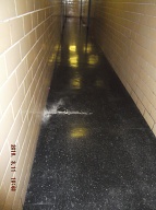 I Wonder Just How Many Days This Filth Will Stay Here This Time??