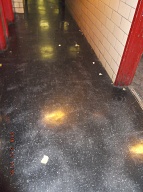 And Yet Another Day Goes By And This Filth Is Still Here!!