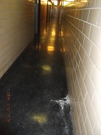 And Yet Another Day Goes By And This Filth Is Still Here!!