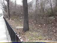 On My Way To The Bus Stop On Richmond Terrace This Morning I Had To Once Again Stare At Satan's Swill That Has Still Not Been Cleaned Up On The Even Side Of Jersey Street!! It Is Against The Religion Of NYCHA Management To Ever Completely Clean Up Here!! When I Got Home I Took These Pictures From Richmond Terrace To The Parking Lot!!