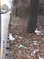 On My Way To The Bus Stop On Richmond Terrace This Morning I Had To Once Again Stare At Satan's Swill That Has Still Not Been Cleaned Up On The Even Side Of Jersey Street!! It Is Against The Religion Of NYCHA Management To Ever Completely Clean Up Here!! When I Got Home I Took These Pictures From Richmond Terrace To The Parking Lot!!