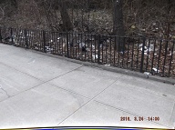 On My Way To The Bus Stop On Richmond Terrace This Morning I Had To Once Again Stare At Satan's Swill That Has Still Not Been Cleaned Up On The Even Side Of Jersey Street!! It Is Against The Religion Of NYCHA Management To Ever Completely Clean Up Here!! When I Got Home I Took These Pictures From Richmond Terrace To The Parking Lot!!