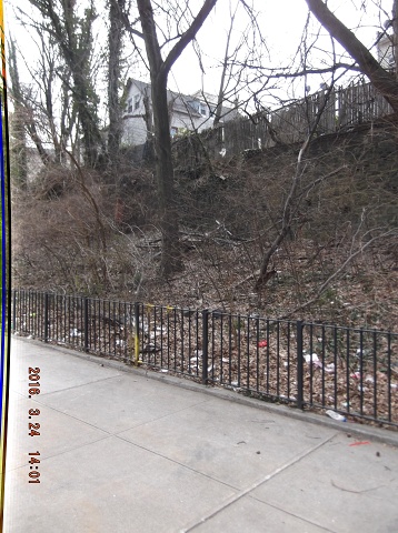 And Yet Another Days Venture Into Satan's NYCHA Swill!!