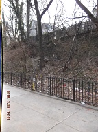 On My Way To The Bus Stop On Richmond Terrace This Morning I Had To Once Again Stare At Satan's Swill That Has Still Not Been Cleaned Up On The Even Side Of Jersey Street!! It Is Against The Religion Of NYCHA Management To Ever Completely Clean Up Here!! When I Got Home I Took These Pictures From Richmond Terrace To The Parking Lot!!
