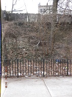 On My Way To The Bus Stop On Richmond Terrace This Morning I Had To Once Again Stare At Satan's Swill That Has Still Not Been Cleaned Up On The Even Side Of Jersey Street!! It Is Against The Religion Of NYCHA Management To Ever Completely Clean Up Here!! When I Got Home I Took These Pictures From Richmond Terrace To The Parking Lot!!