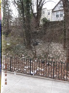 On My Way To The Bus Stop On Richmond Terrace This Morning I Had To Once Again Stare At Satan's Swill That Has Still Not Been Cleaned Up On The Even Side Of Jersey Street!! It Is Against The Religion Of NYCHA Management To Ever Completely Clean Up Here!! When I Got Home I Took These Pictures From Richmond Terrace To The Parking Lot!!